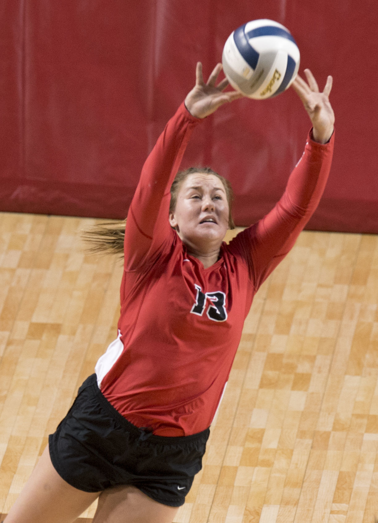D-1 state volleyball, Diller-Odell vs. Hartington CC, 11.8